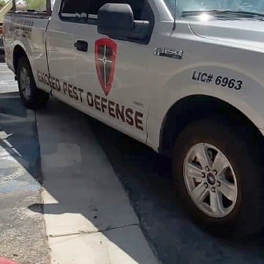 Las Vegas pest control company truck - Exceed Pest Defense