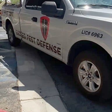 https://epdpestcontrol.com/wp-content/uploads/2021/04/las-vegas-pest-control-company-truck-exceed-pest-defense-min.jpg