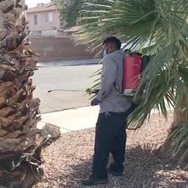 Las Vegas pest control technician (outside) - Exceed Pest Defense