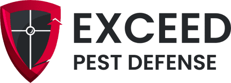 Defending Home Sweet Home: Expert Rodent Control in Las Vegas