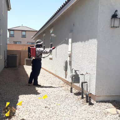 Residential pest control in Las Vegas - Bug insect spray of home exterior wall